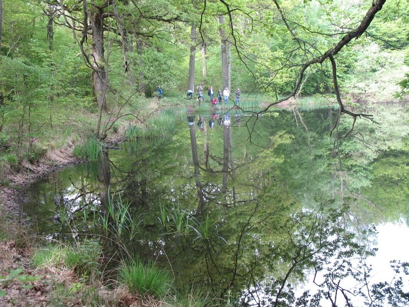 2006 05 Bonne mare 08